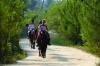 Randonnées Equestres Castel Vergio Hôtel