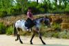 Randonnées Equestres Castel Vergio Hôtel